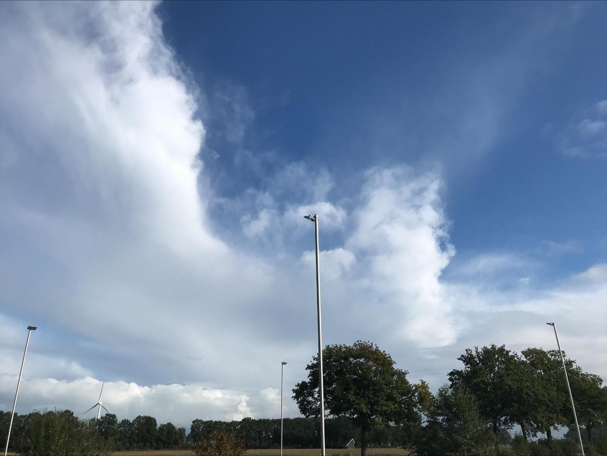 Farm stay Fourtrees Nieuwleusen