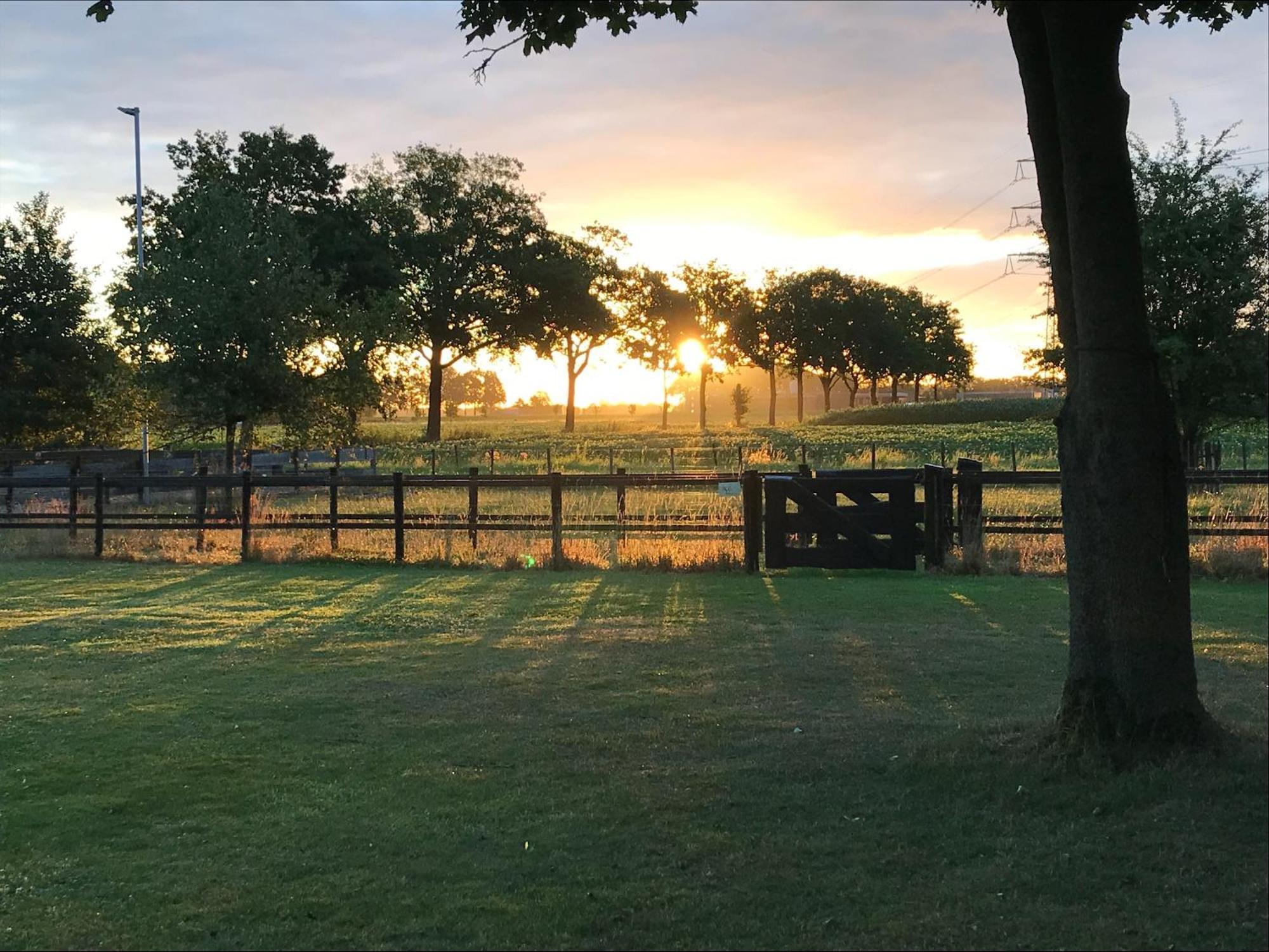 Fourtrees Farm stay