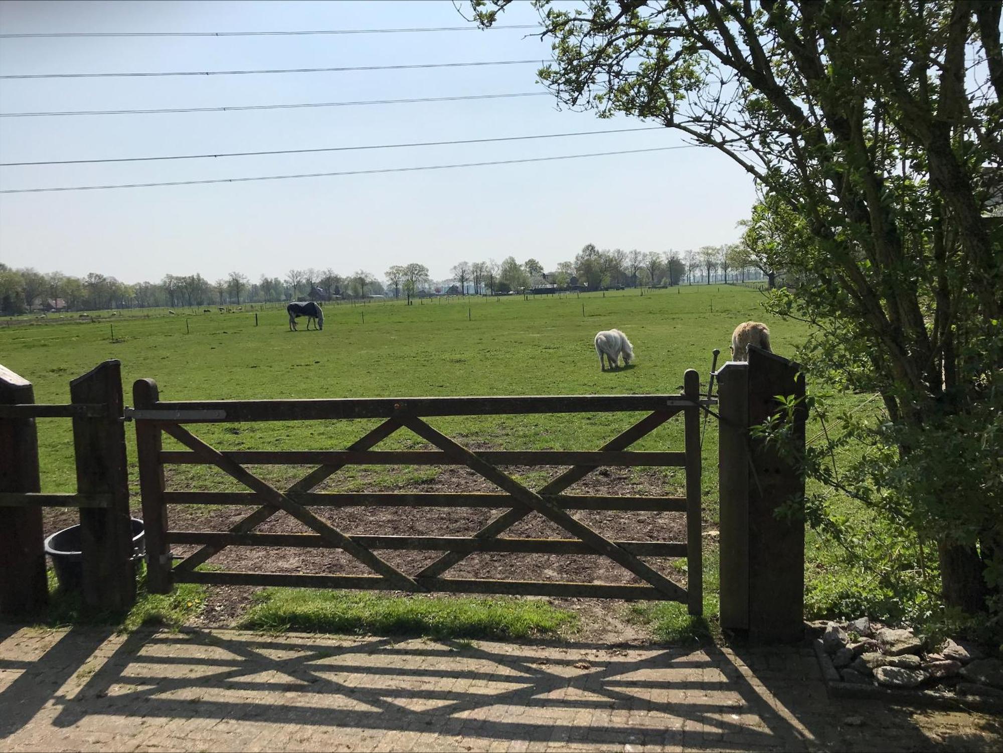 Fourtrees Farm stay