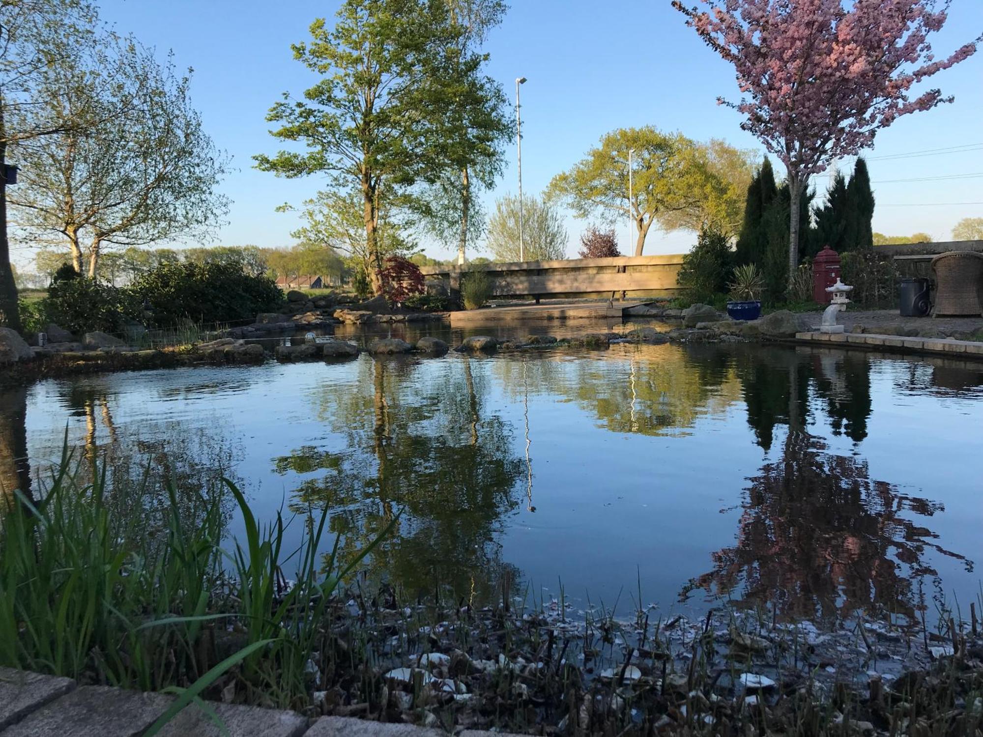 Fourtrees